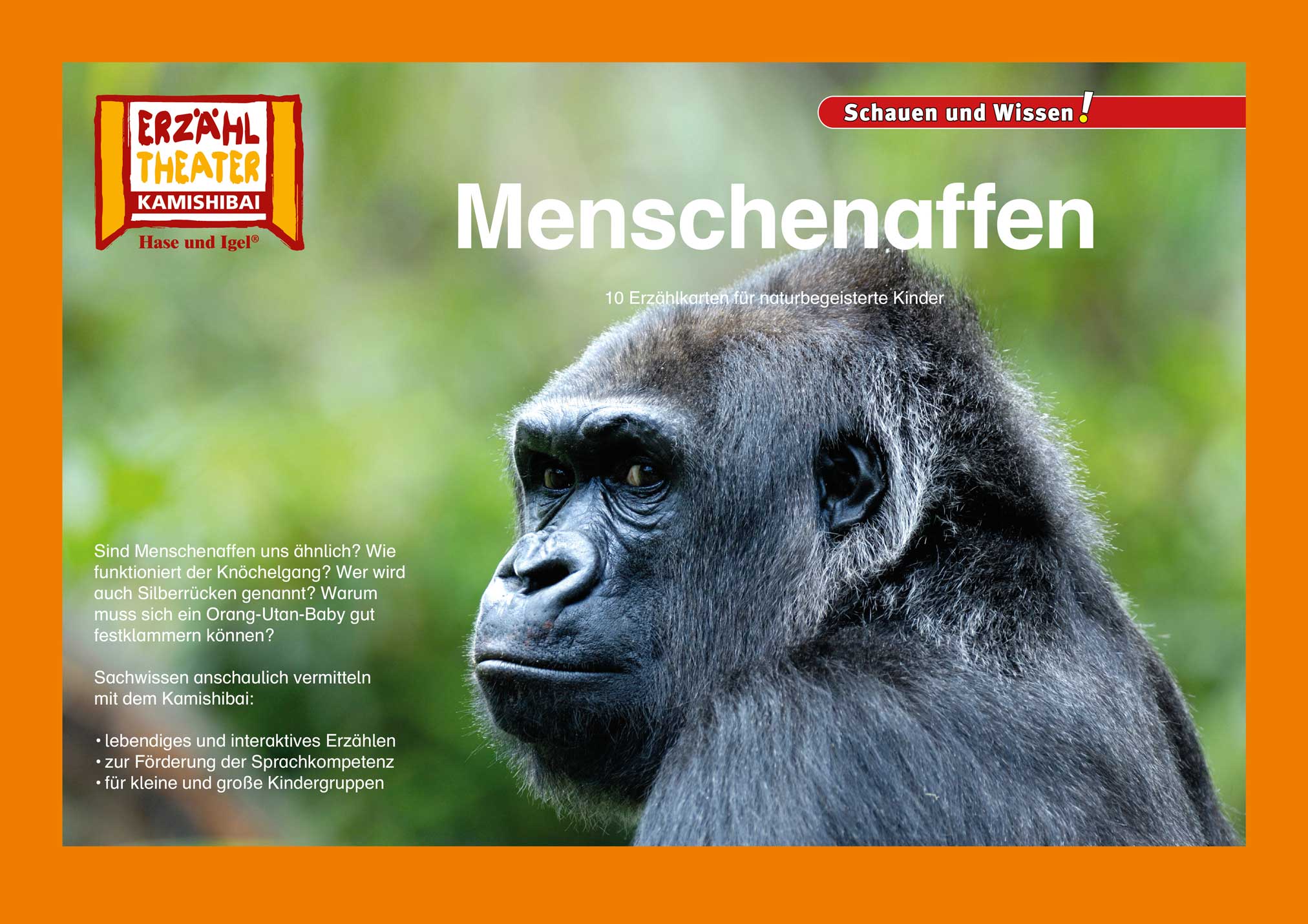 Menschenaffen / Kamishibai Bildkarten