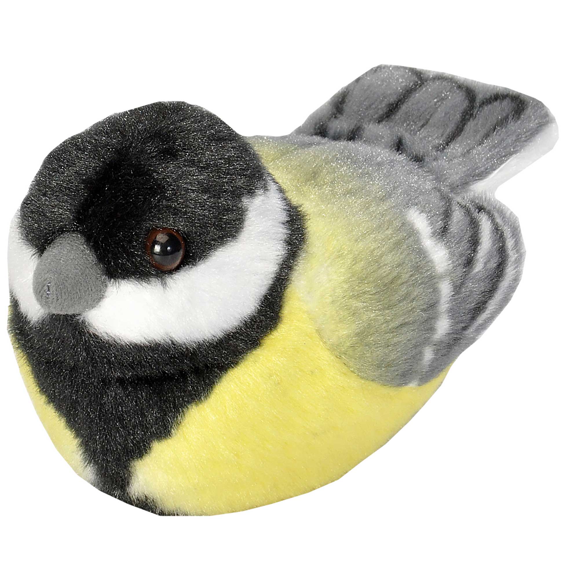 Singende Vögel Kohlmeise