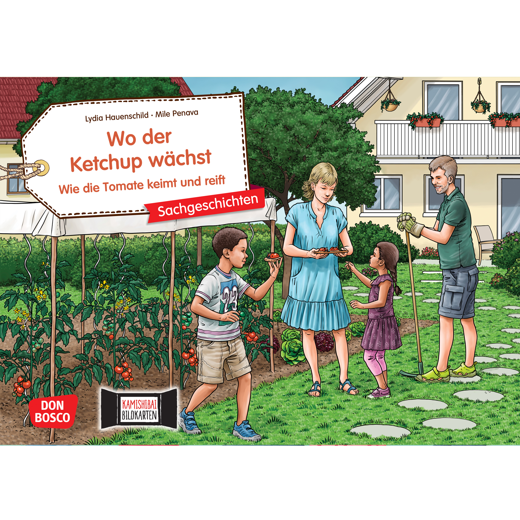 Wo der Ketchup wächst. Wie die Tomate keimt und reift. Kamishibai Bildkartenset