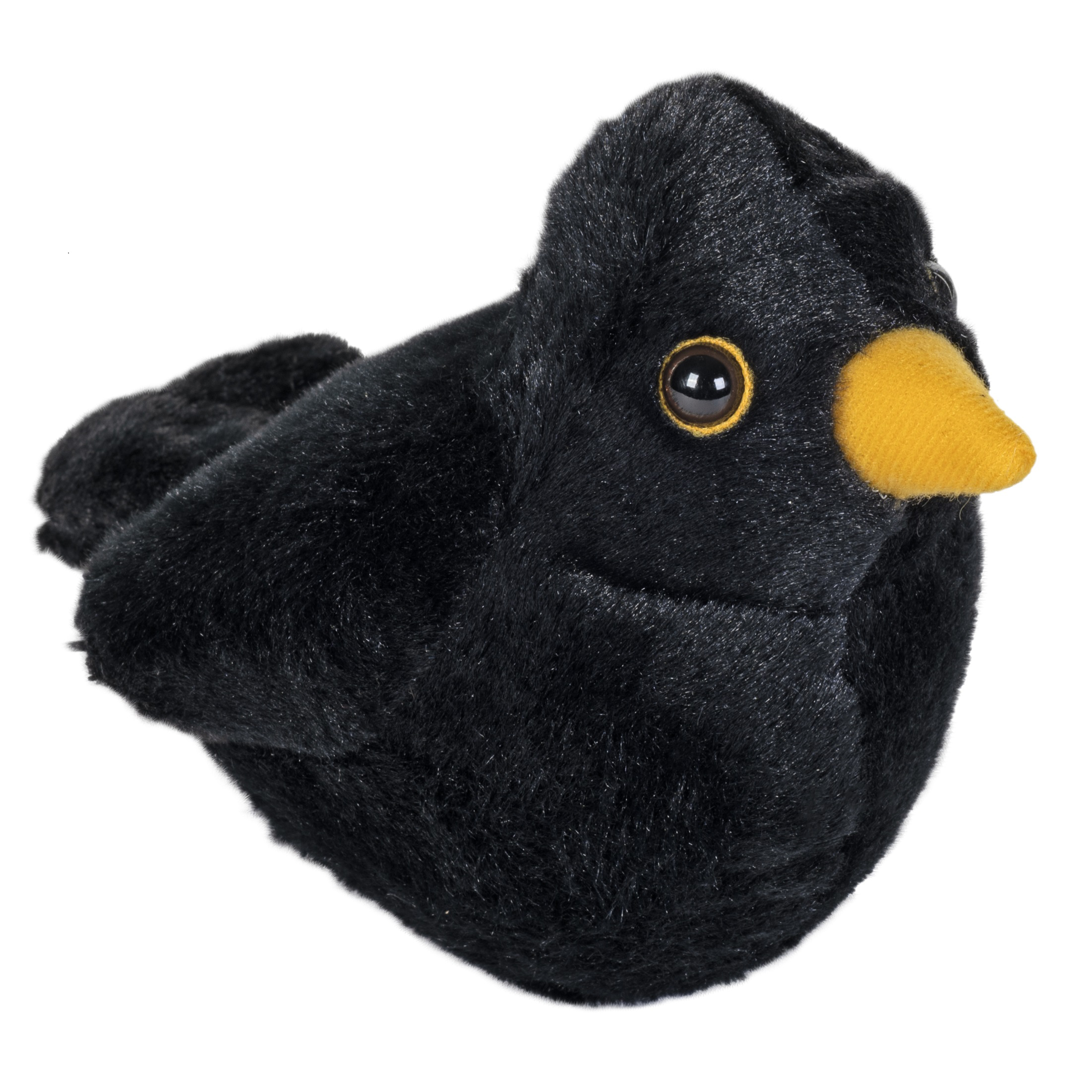 Singende Vögel Amsel