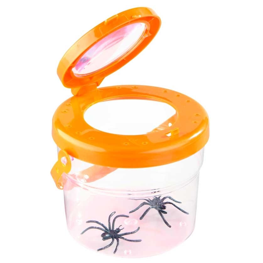 Riesen-Lupendose 12er Set
