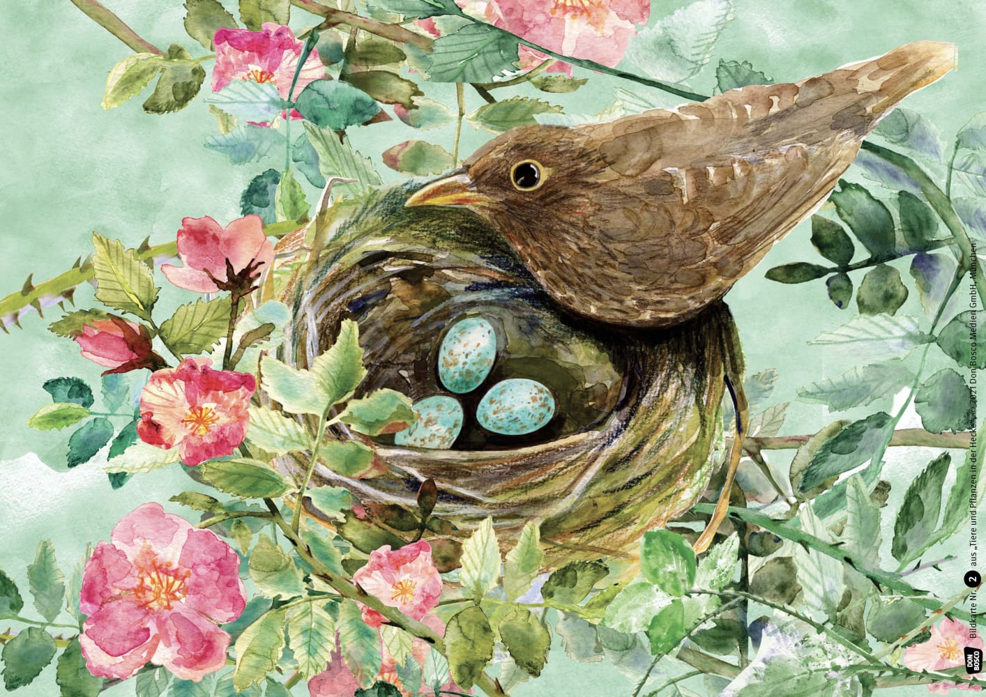 Tiere und Pflanzen in der Hecke. Kamishibai Bildkartenset