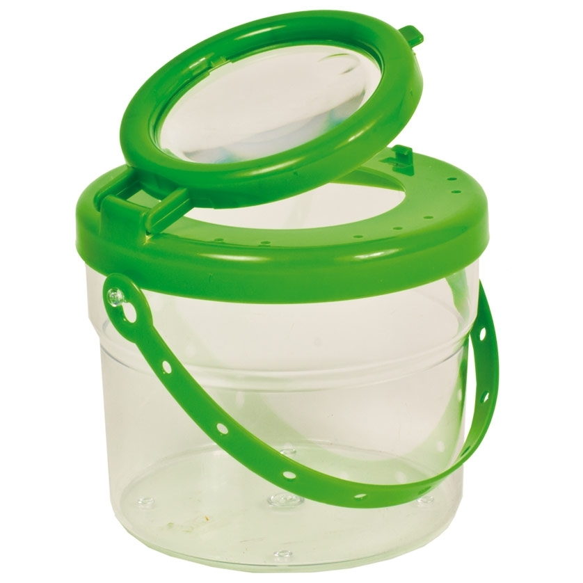 Riesen-Lupendose 12er Set