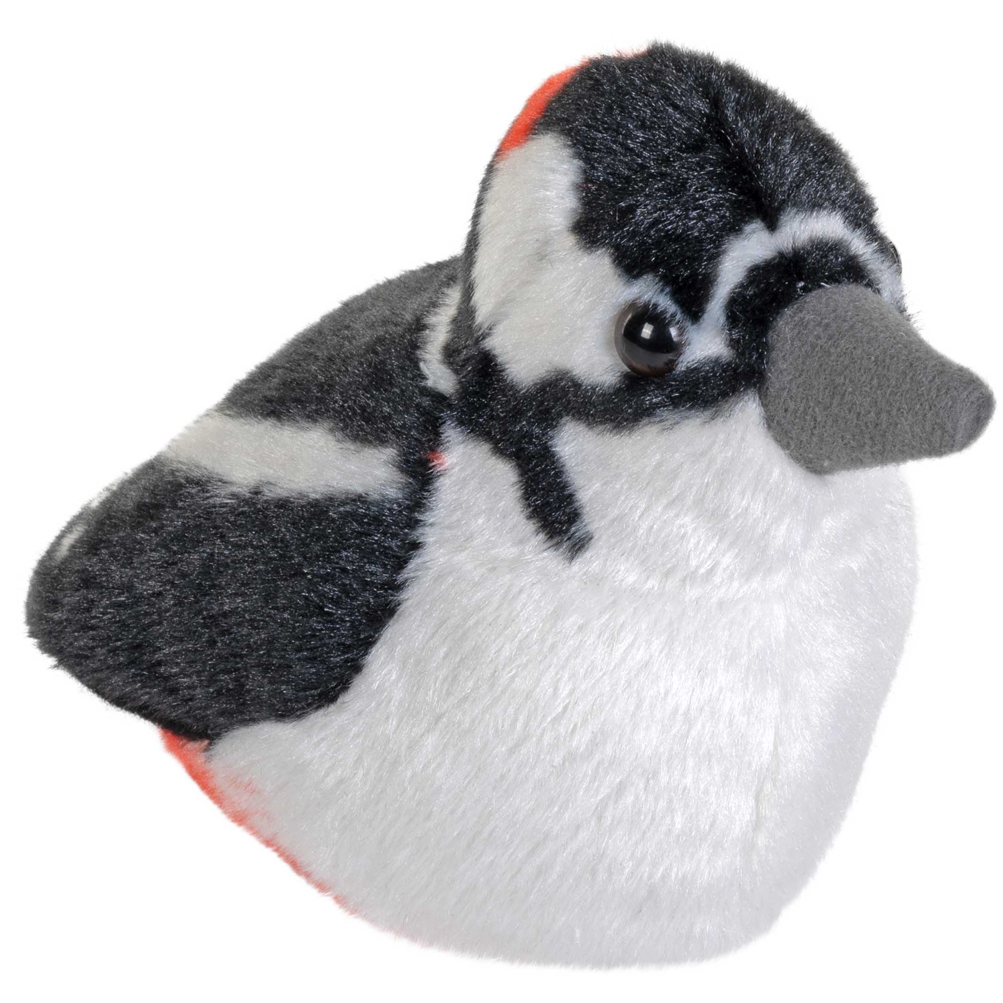 Singende Vögel Buntspecht
