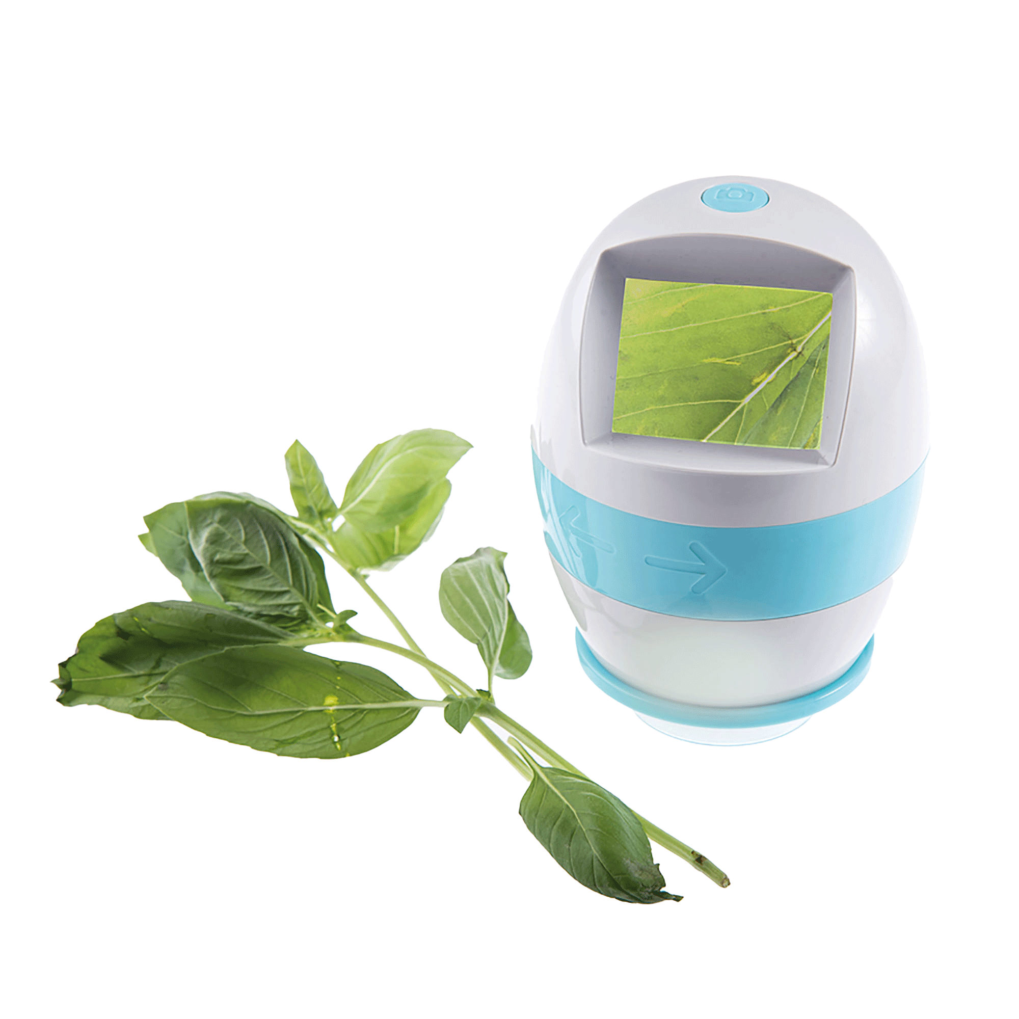 Forschen & Experimentieren