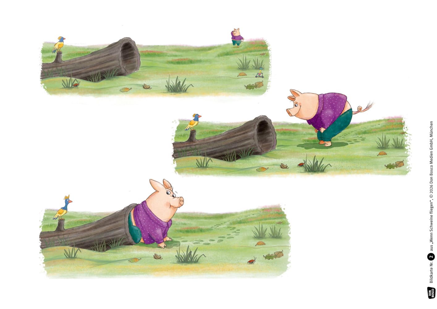 Wenn Schweine fliegen. Kamishibai Bildkartenset
