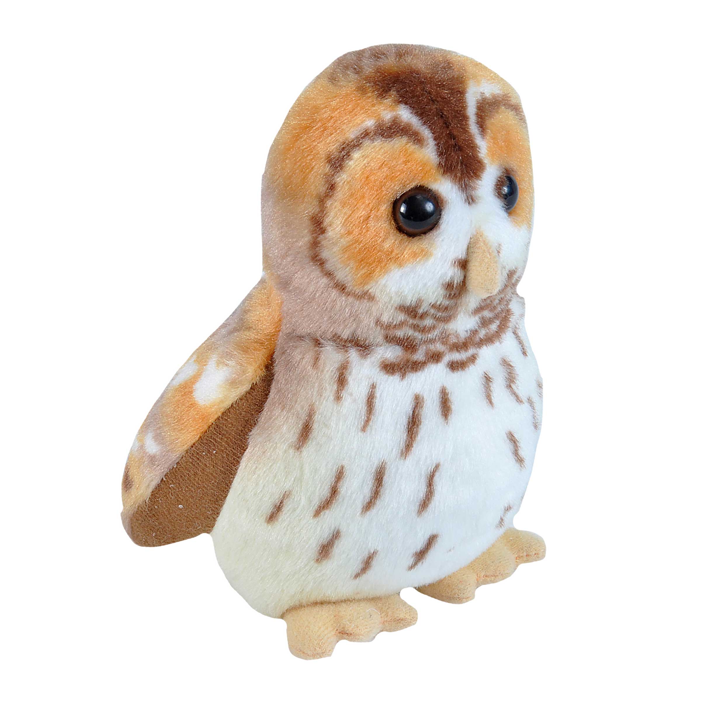 Singende Vögel Waldkauz