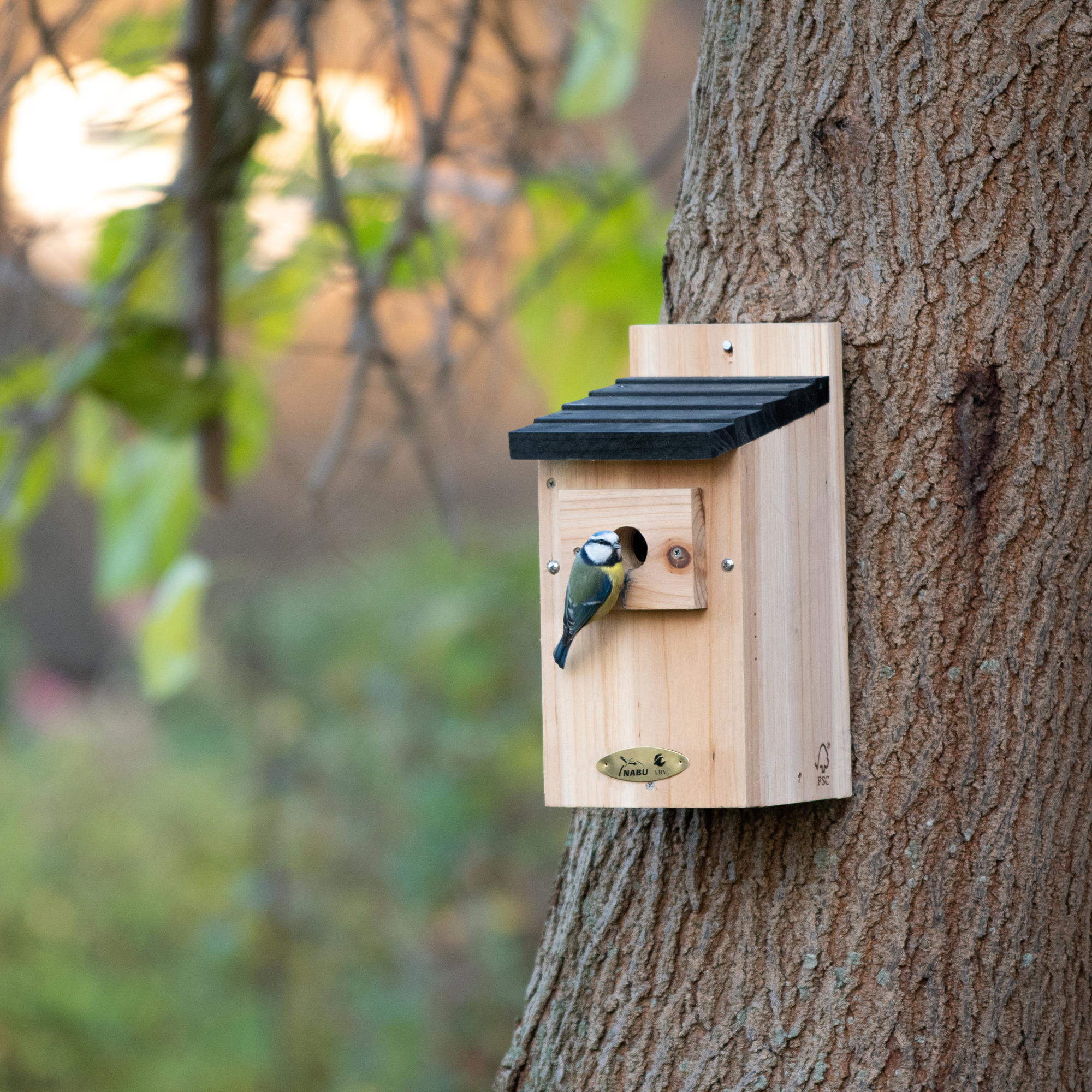 Nistkasten Ø 28 mm Einflugsöffnung