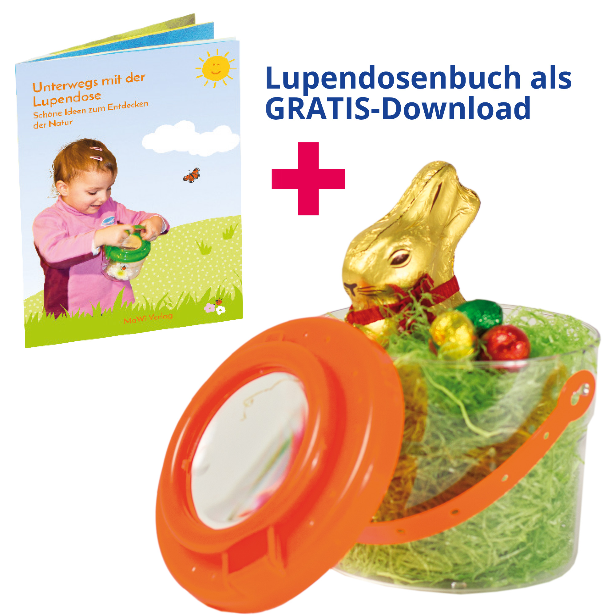 Riesen-Lupendose 12er Set