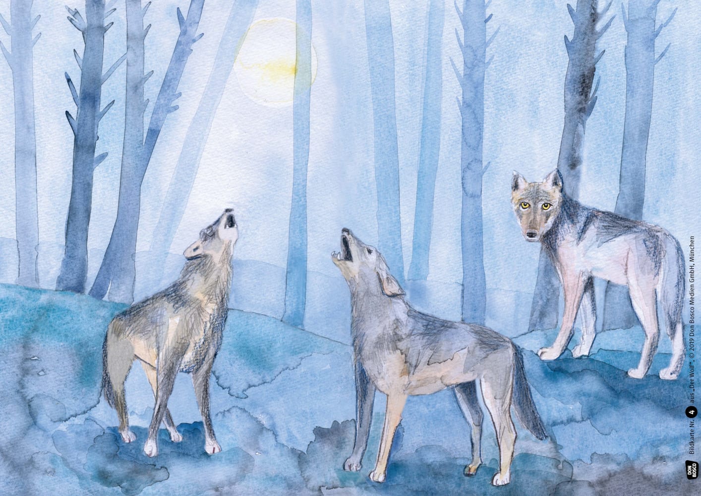 Der Wolf. Kamishibai Bildkartenset.