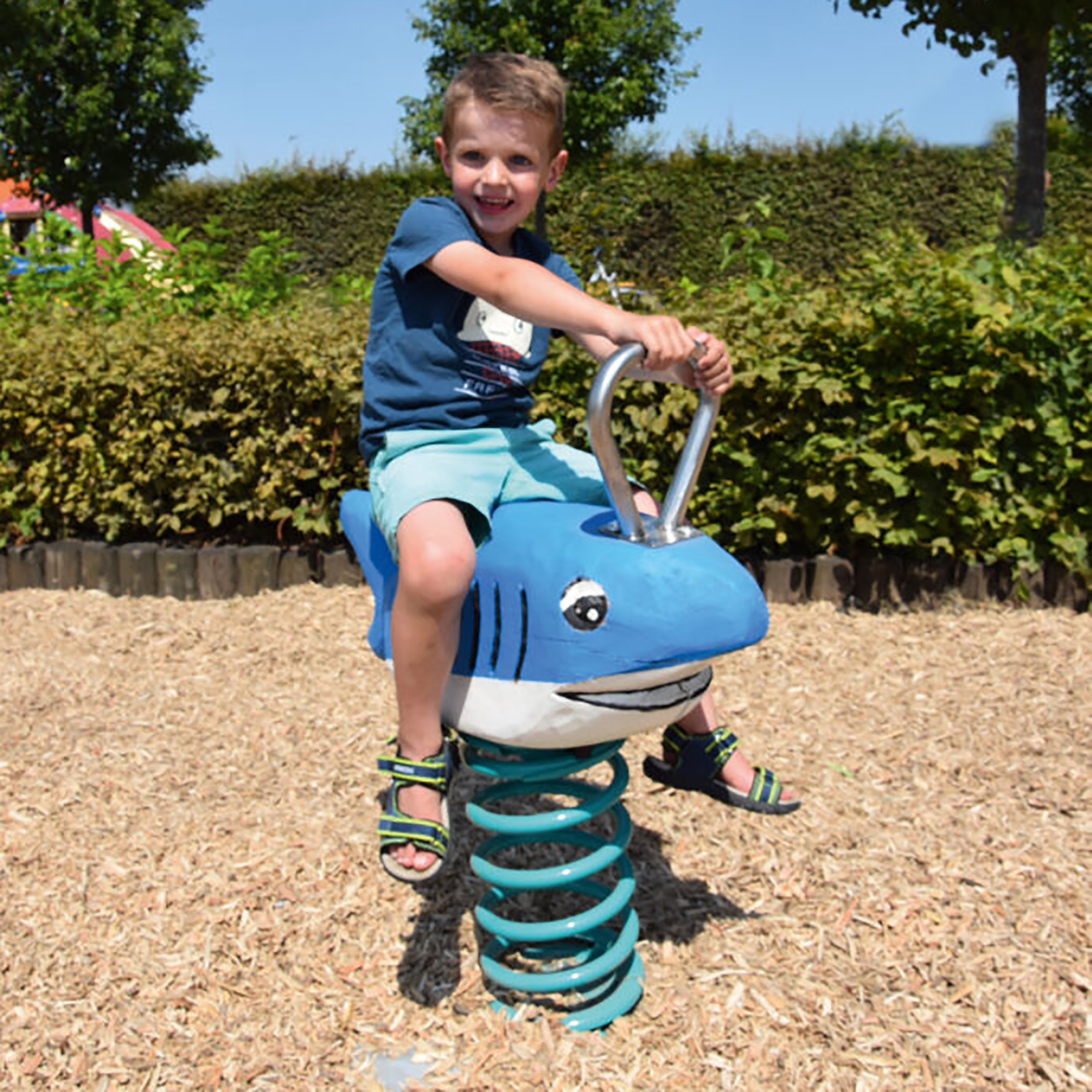 Robinie Federwipptier Hai