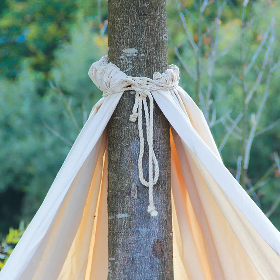 Baum-Tipi