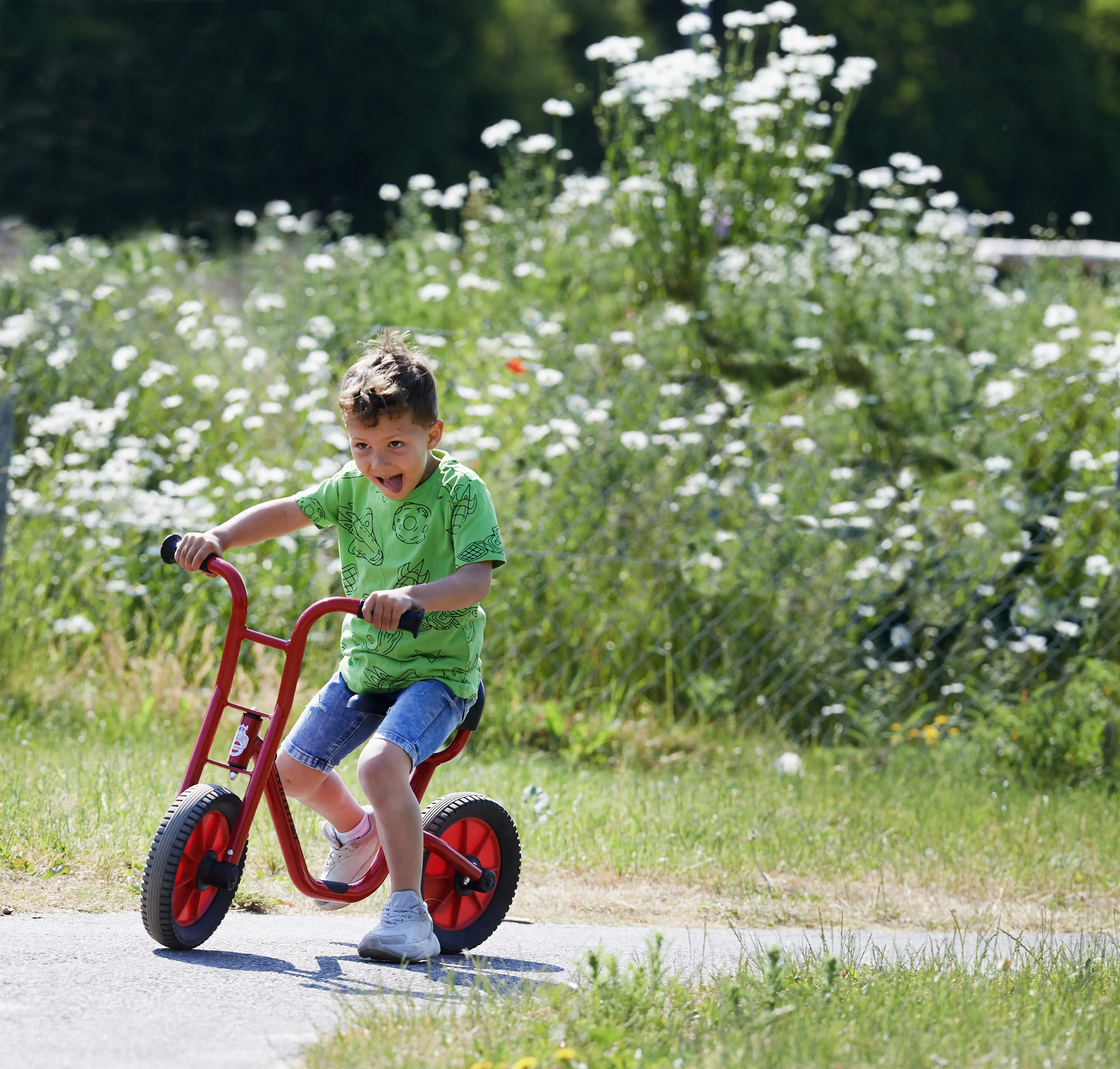 Viking BikeRunner Large mit niedrigem Einstieg Winther
