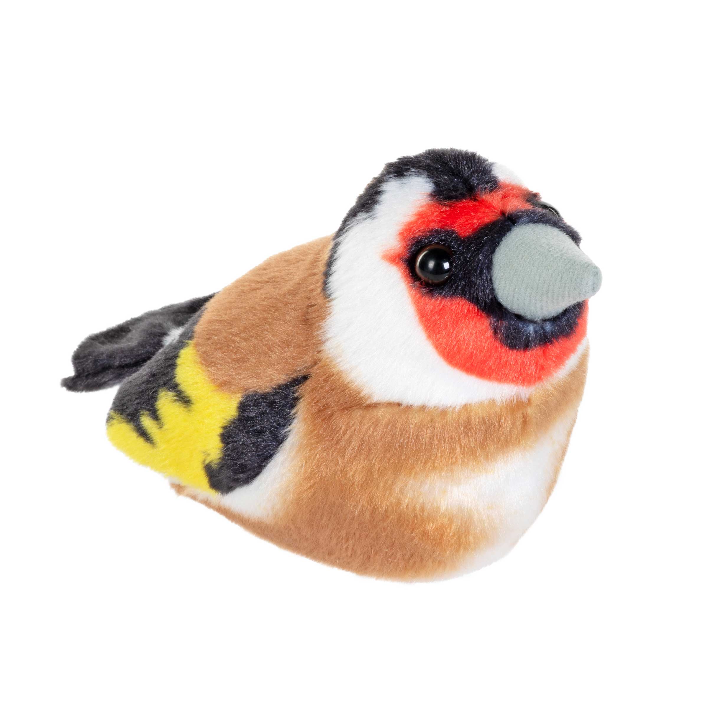 Singende Vögel Kuckuck