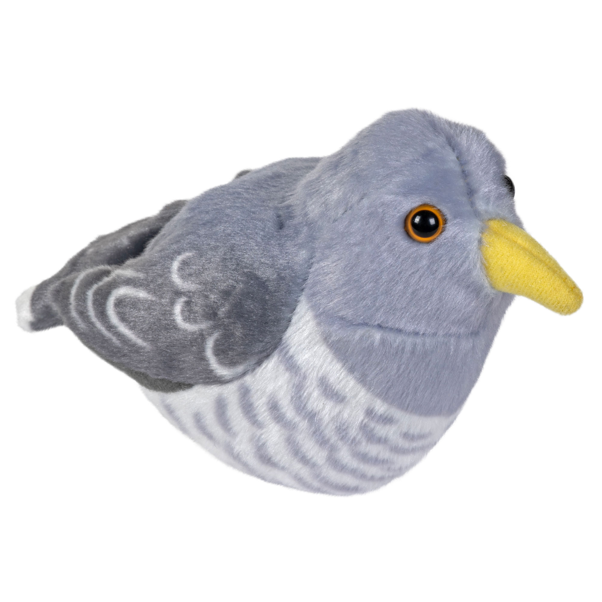 Singende Vögel Kuckuck