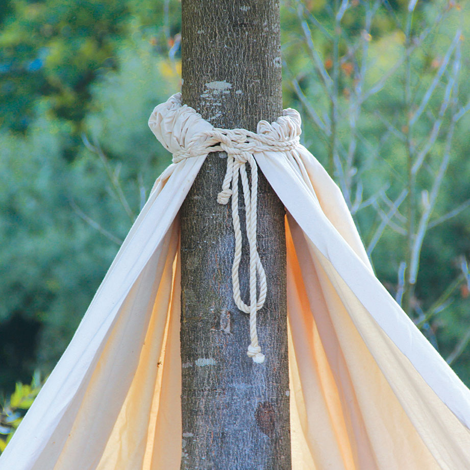 Baum-Tipi