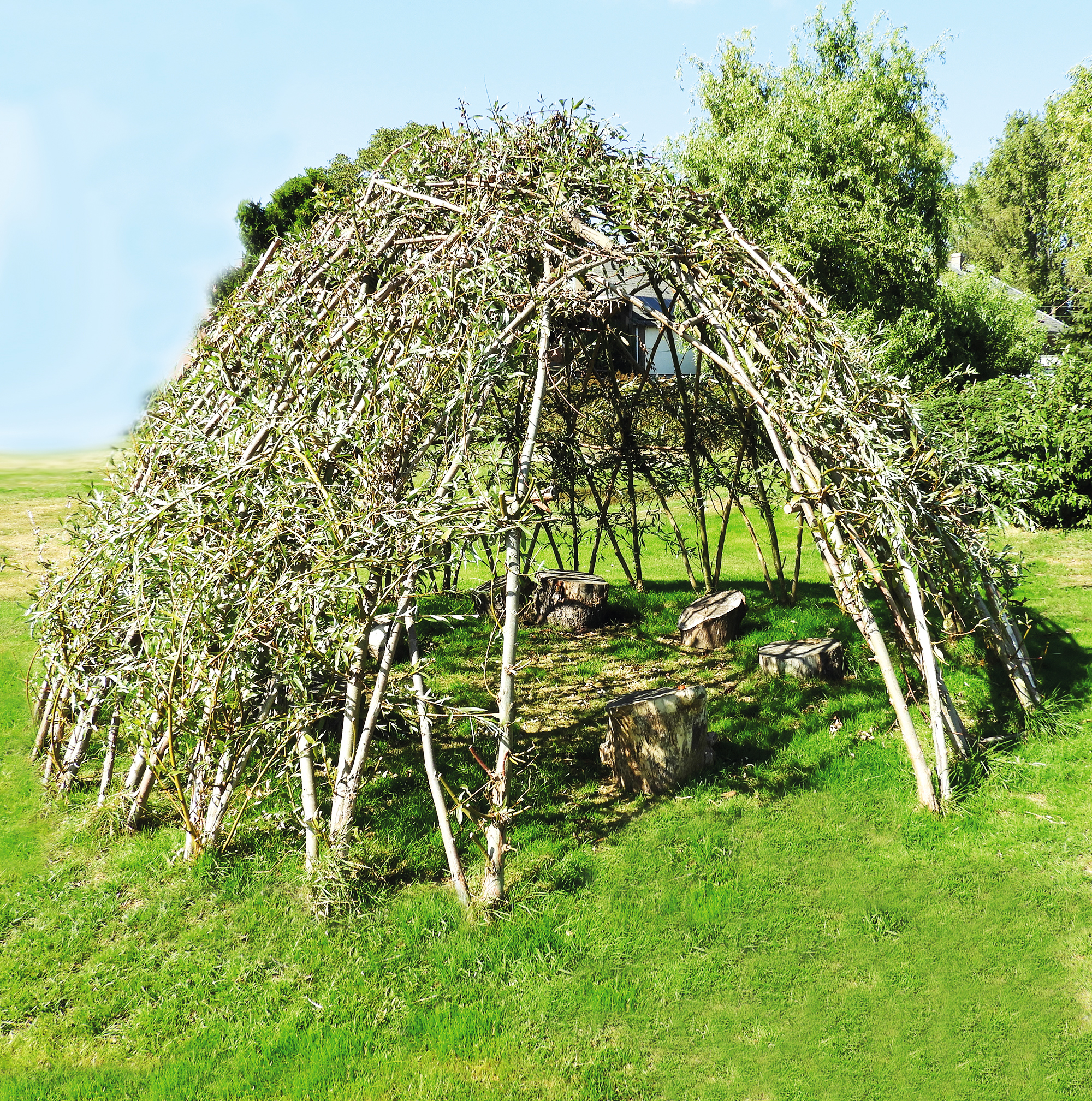 Weidenpflanzen für Weidentipi (Bausatz)