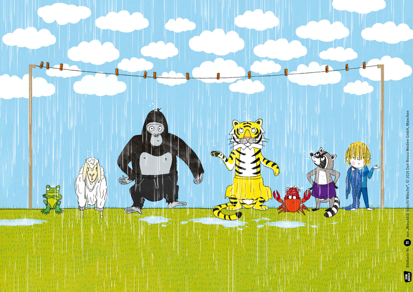 Waschbär wäscht Wäsche. Kamishibai Bildkartenset