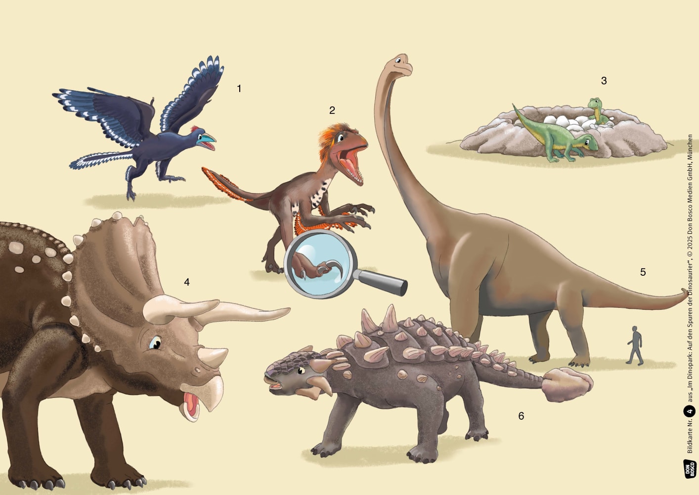 Im Dinopark: Auf den Spuren der Dinosaurier. Kamishibai Bildkartenset