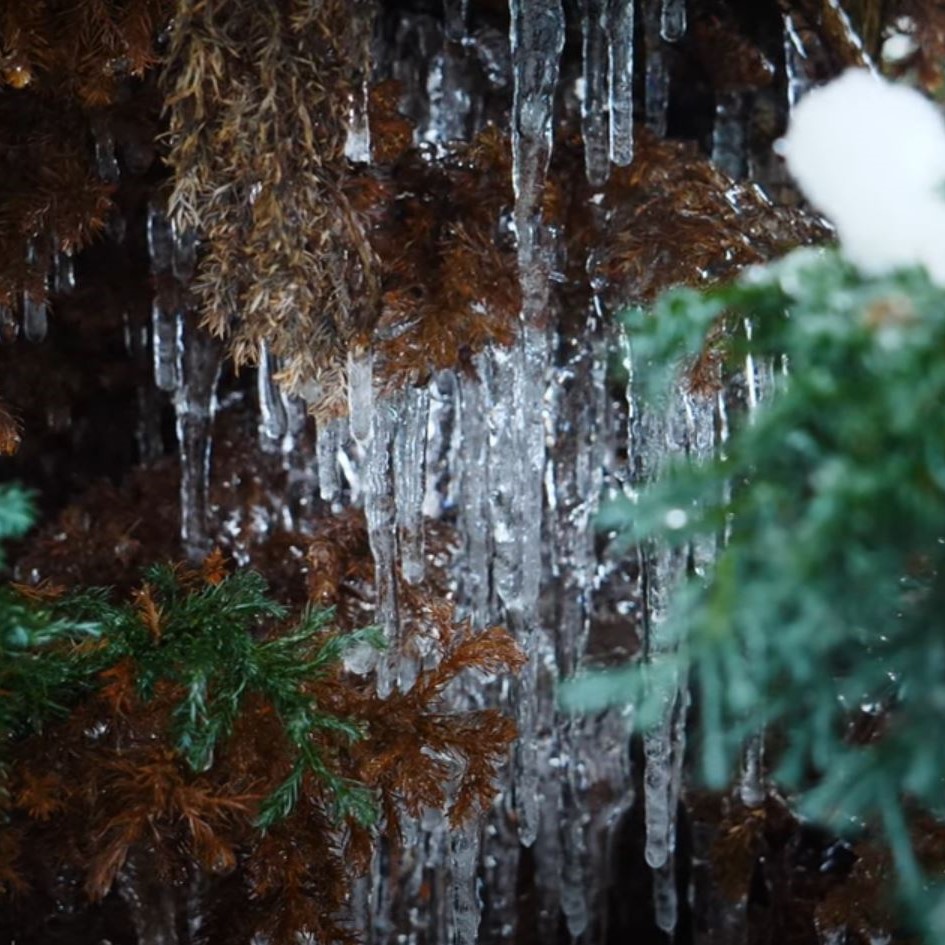 Traumreise Stick "Tansania, Winter & Wiese"