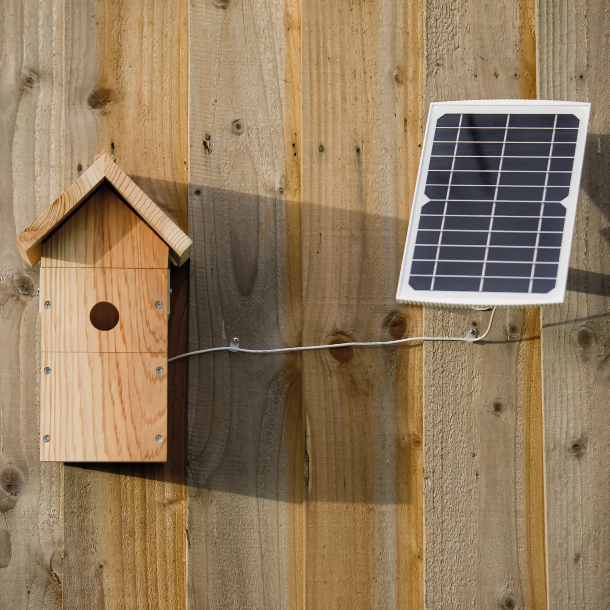 WiFi Nistkasten mit Kamera und Solarpanel