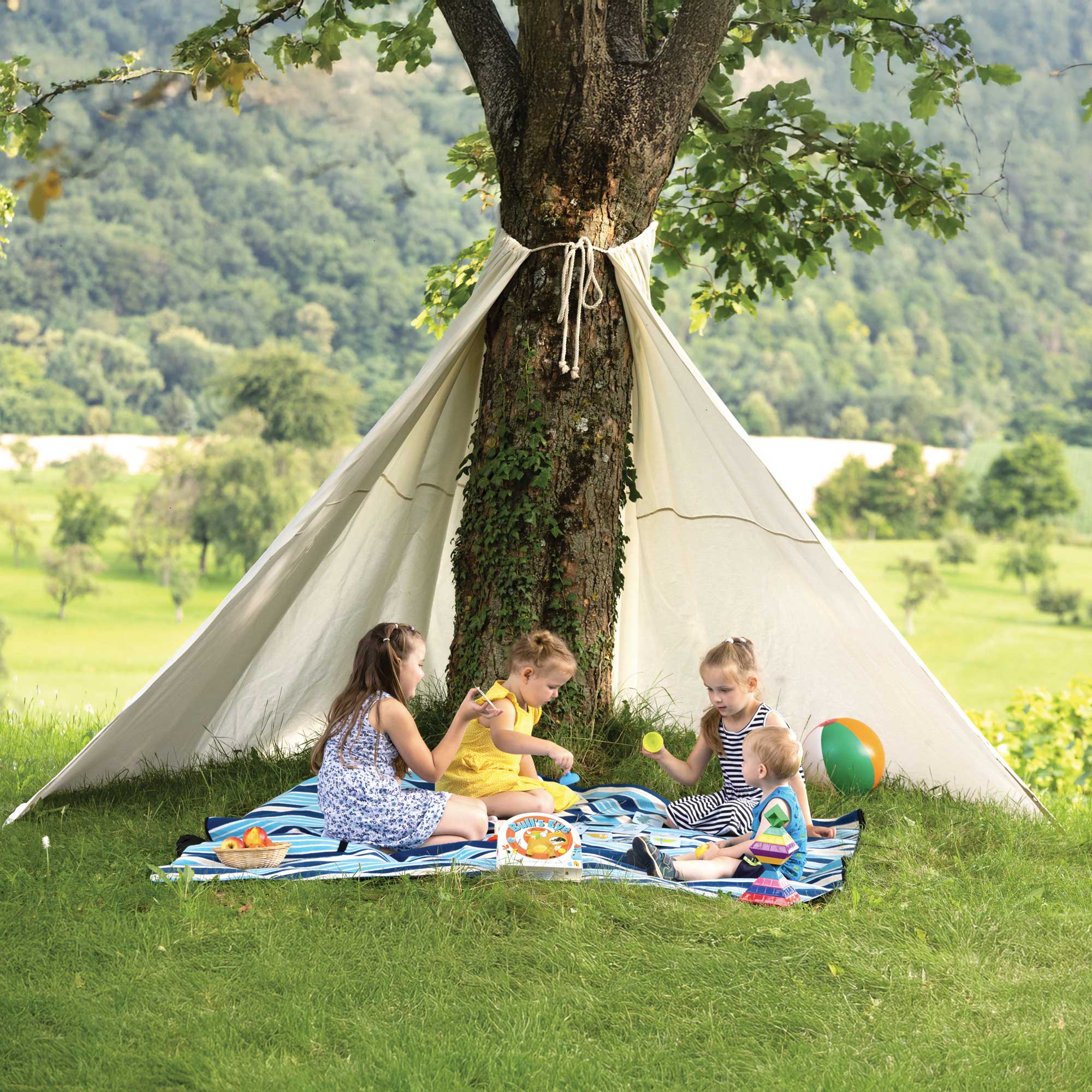 Baum-Tipi