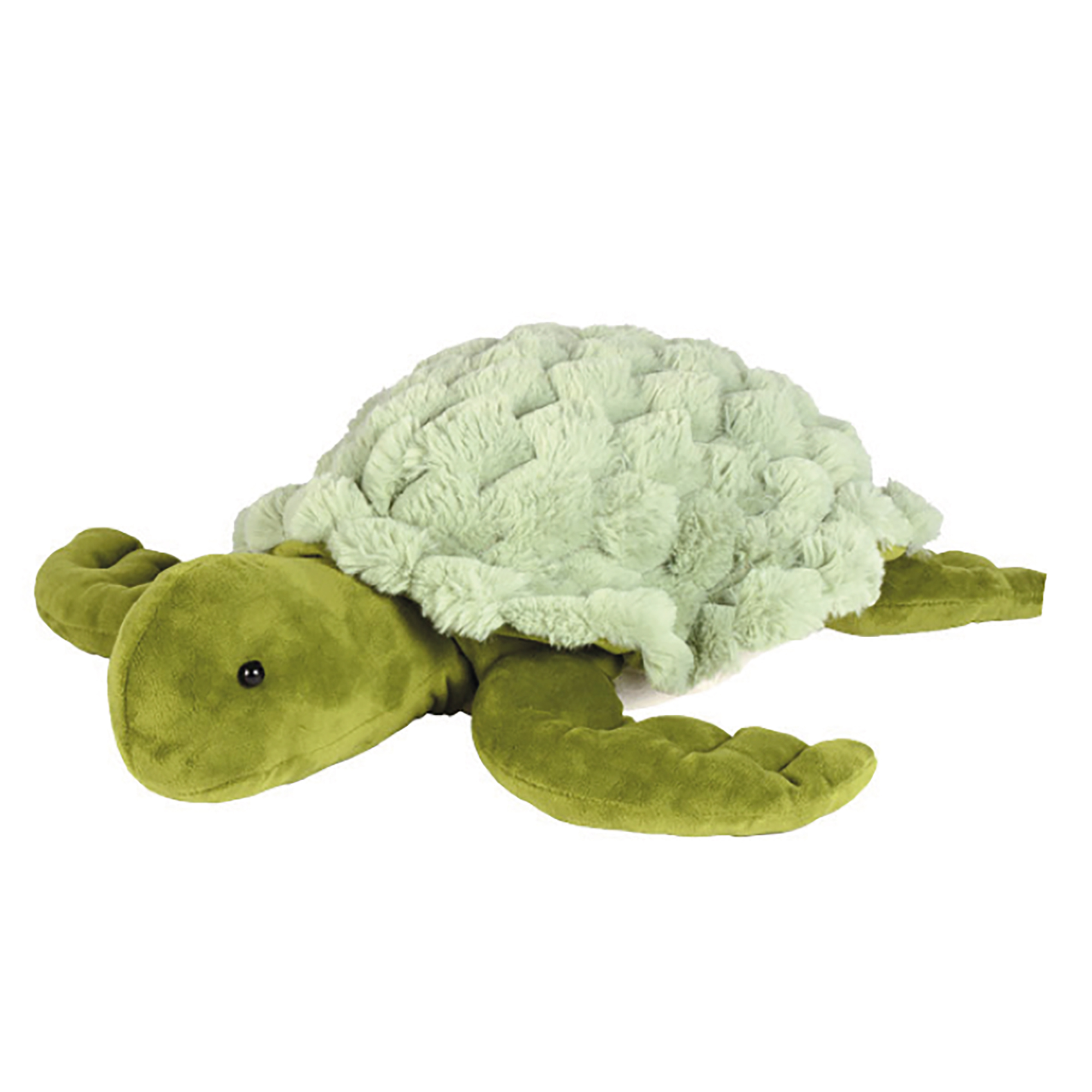 Gewichtstier Schildkröte Siegfried
