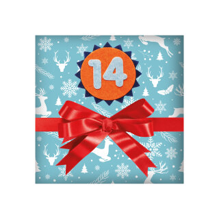 Nikolaus Minibuch 12er Set