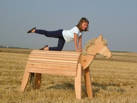 Holzpony Jack mittel