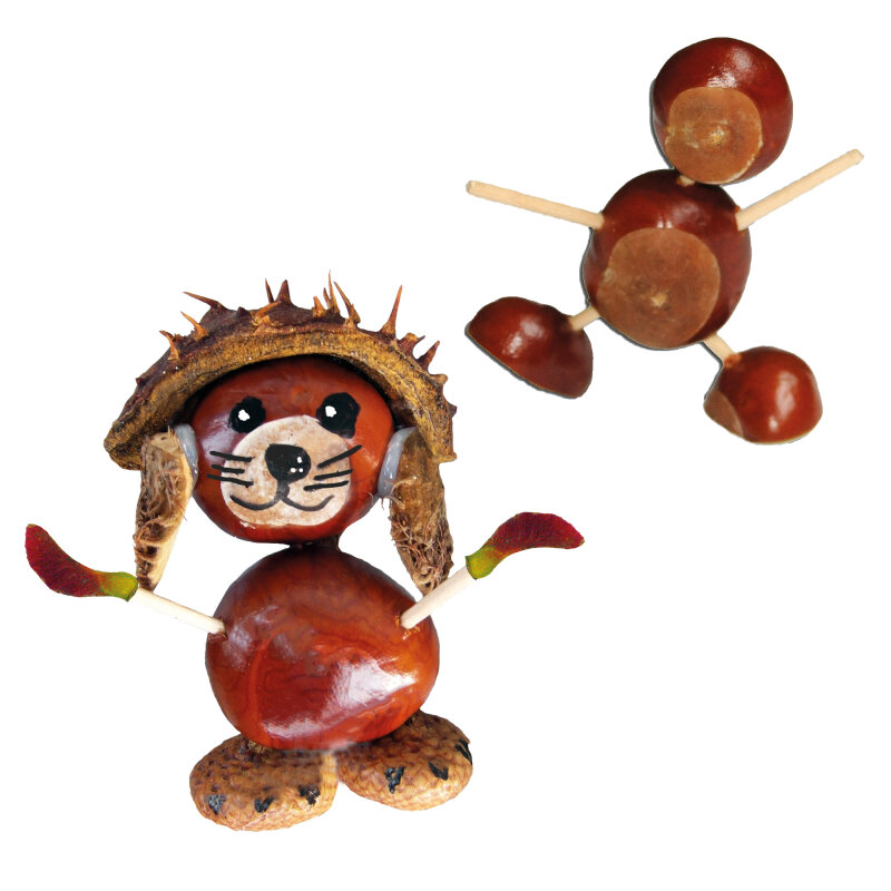 Kastanien-Halte-Pilz (Nussknacker)