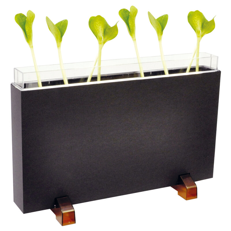 Wurzelhaus & Wurmfarm