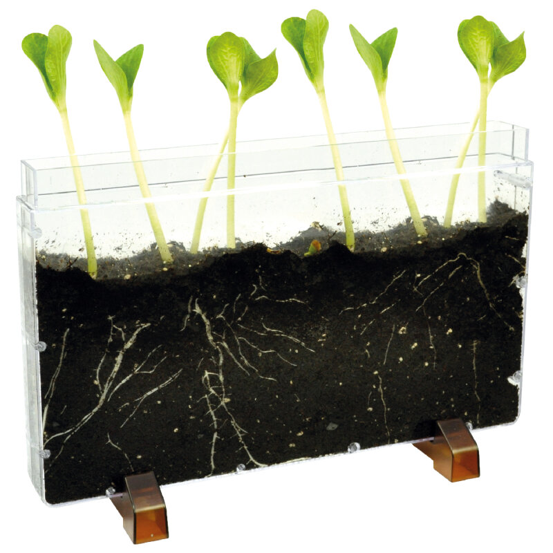 Wurzelhaus & Wurmfarm