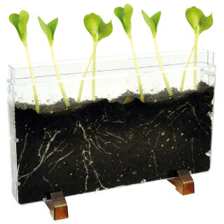 Wurzelhaus & Wurmfarm