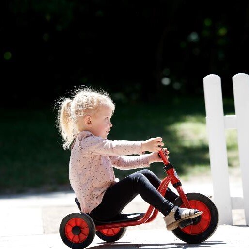 Mini Easy Rider Winther