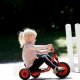 Mini Easy Rider Winther