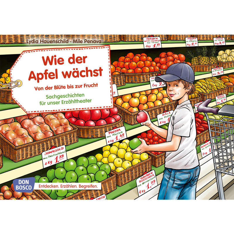 Kamishibai Karten Wie der Apfel wächst. Von der Blüte bis zur Frucht