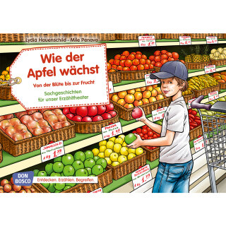 Wie der Apfel wächst. Von der Blüte bis zur Frucht. Kamishibai Bildkartenset
