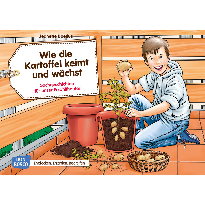 Kamishibai Karten Wie die Kartoffel keimt und wächst.