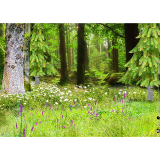Kamishibai Karten 24 Hintergrundbilder