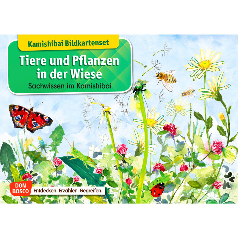 Kamishibai Karten Tiere und Pflanzen in der Wiese