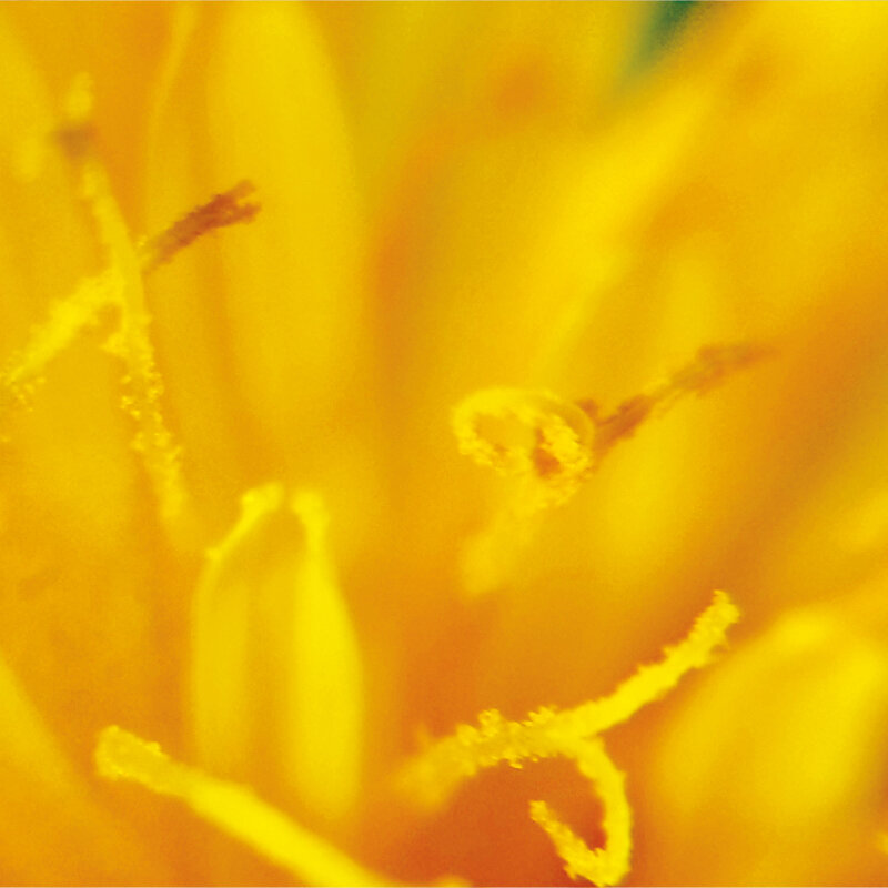 Mawi Tablet- & Handymikroskop