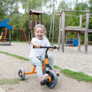 Little Cruiser TopTrike