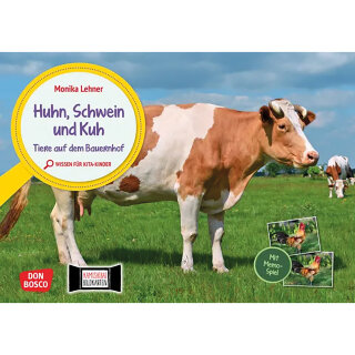 Kamishibai Karten Huhn, Schwein & Kuh