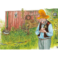 Wie Findus zu Pettersson kam. Kamishibai Bildkartenset