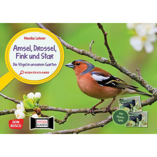 Amsel, Drossel, Fink und Star. Die Vögel in unserem Garten. Kamishibai Bildkarten und Memo-Spiel