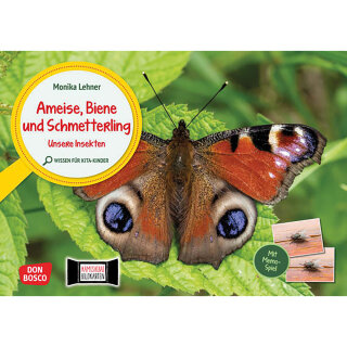 Kamishibai Karten Ameise, Biene und Schmetterling. Unsere Insekten. Kamishibai Bildkarten und Memo-Spiel