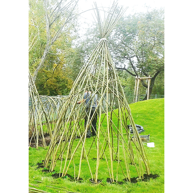 Weidenpflanzen für Weidentipi (Bausatz)