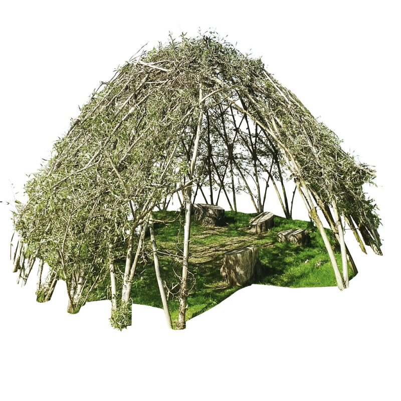 Weidenpflanzen für Weidentipi (Bausatz)