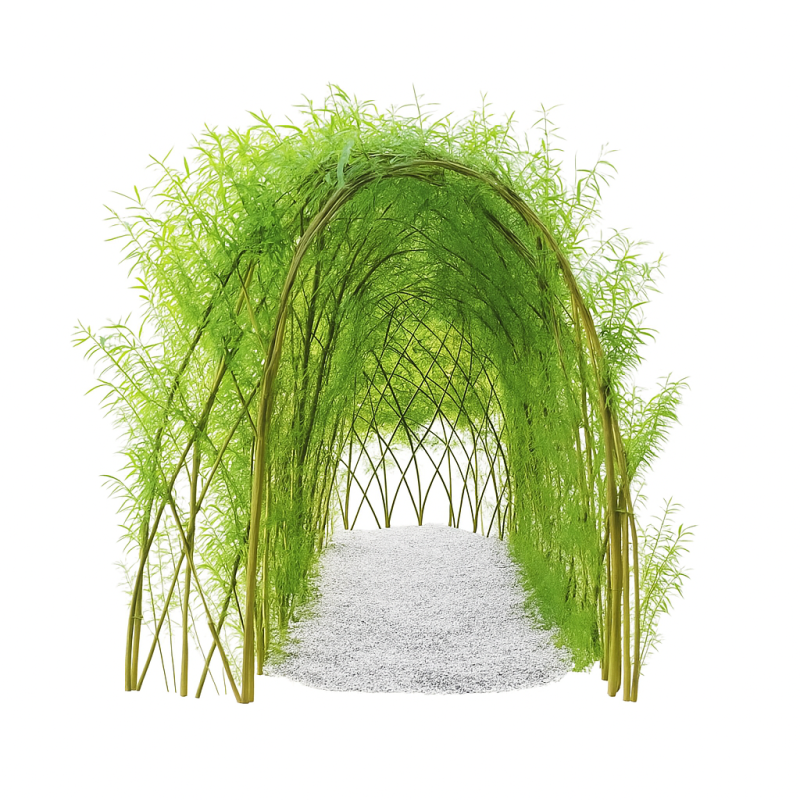 Weidenpflanzen für  Weidentunnel (Set für einen 3 m Tunnel)