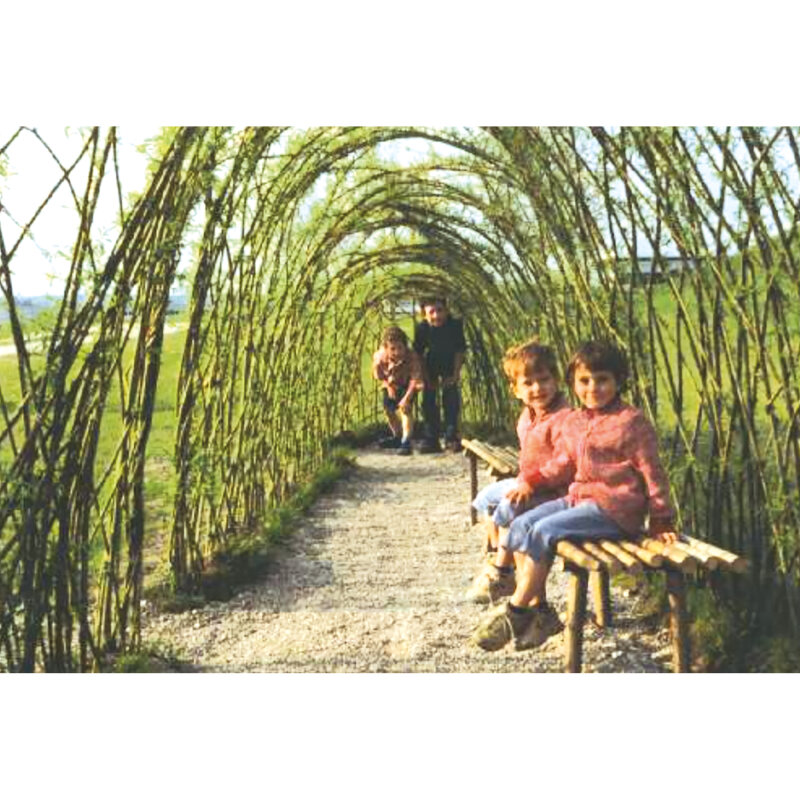 Weidenpflanzen für  Weidentunnel (Set für einen 3 m Tunnel)